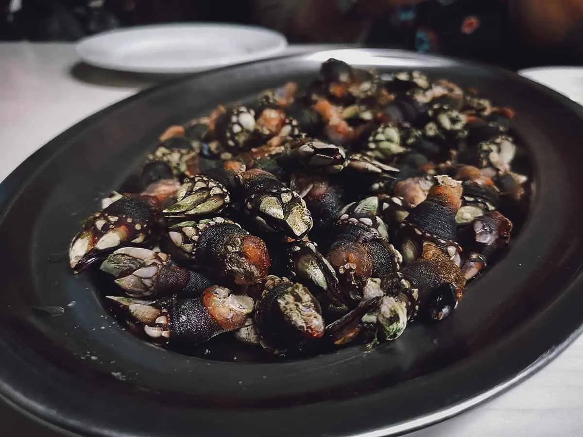 Percebes from one of the most popular tapas bars in Santiago de Compostela