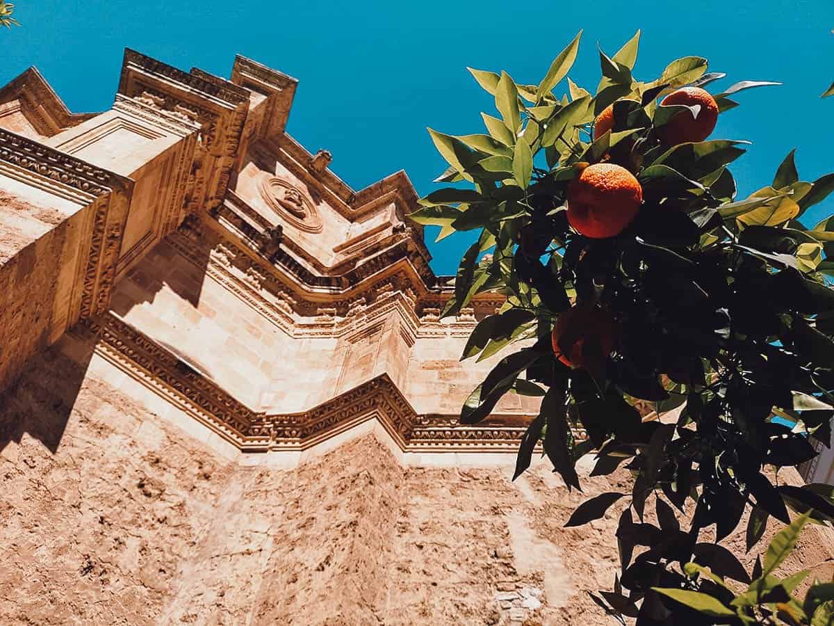 View of Monasterio de San Jeronimo and orange trees