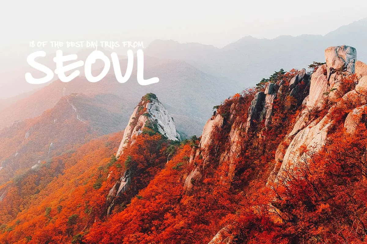 18 of the Best Day Trips from Seoul