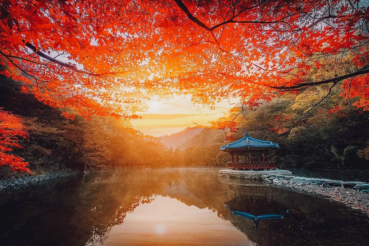 Autumn foliage at Naejangsan National Park