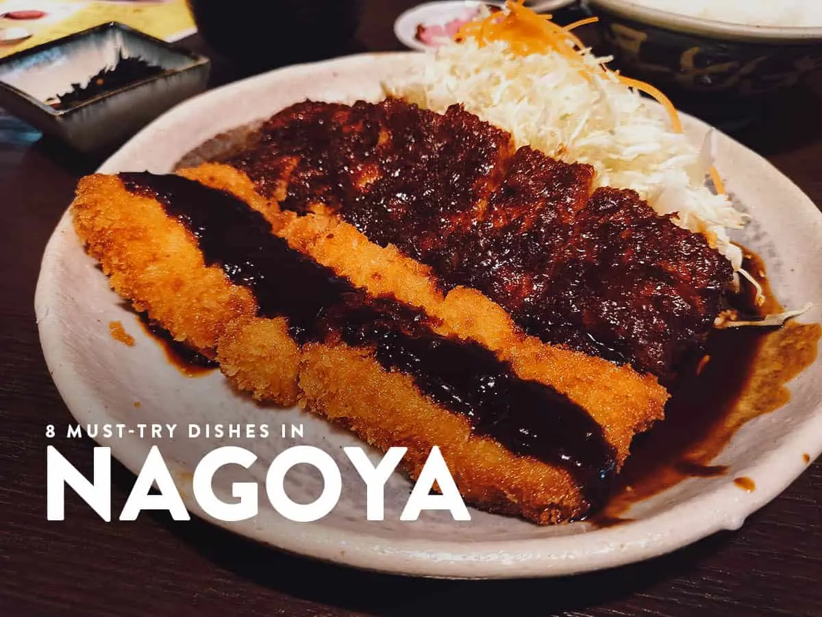 Nagoya Food Guide: 8 Must-Try Dishes