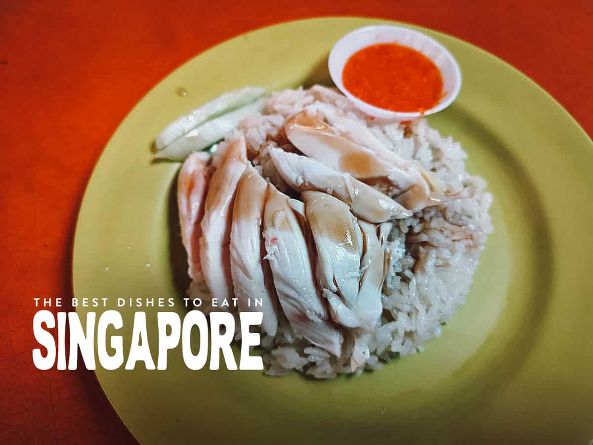 Plate of Hainanese chicken rice