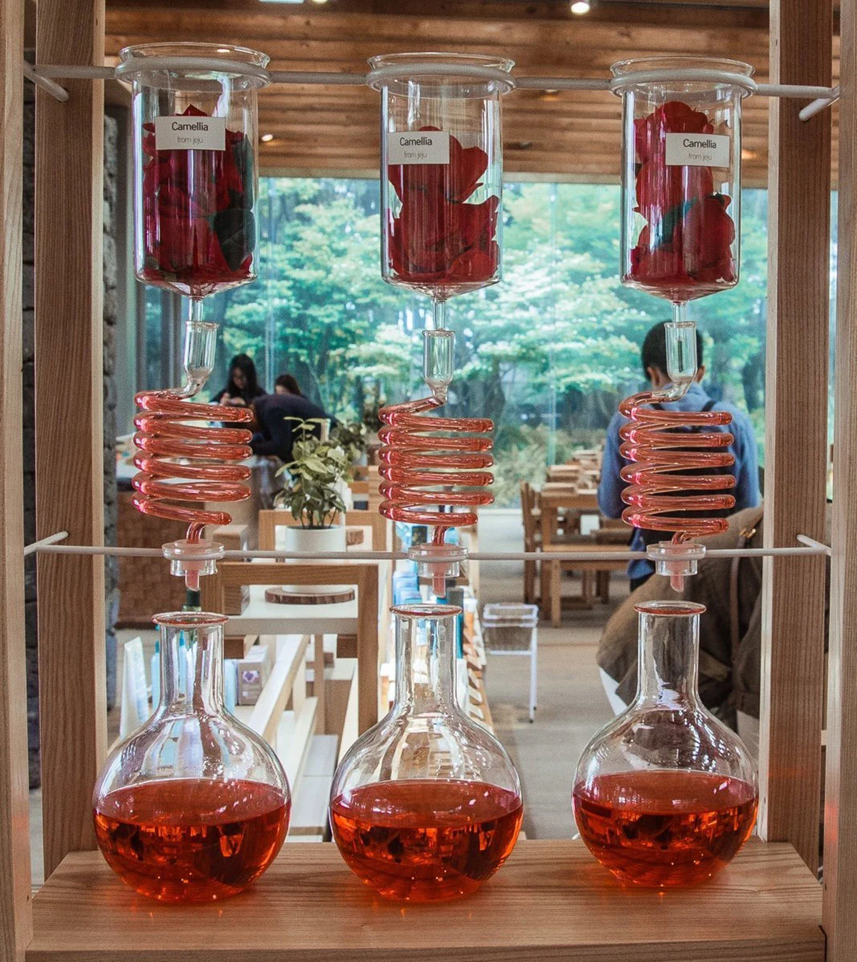 Cafe inside the O’sulloc Tea Museum on Jeju Island