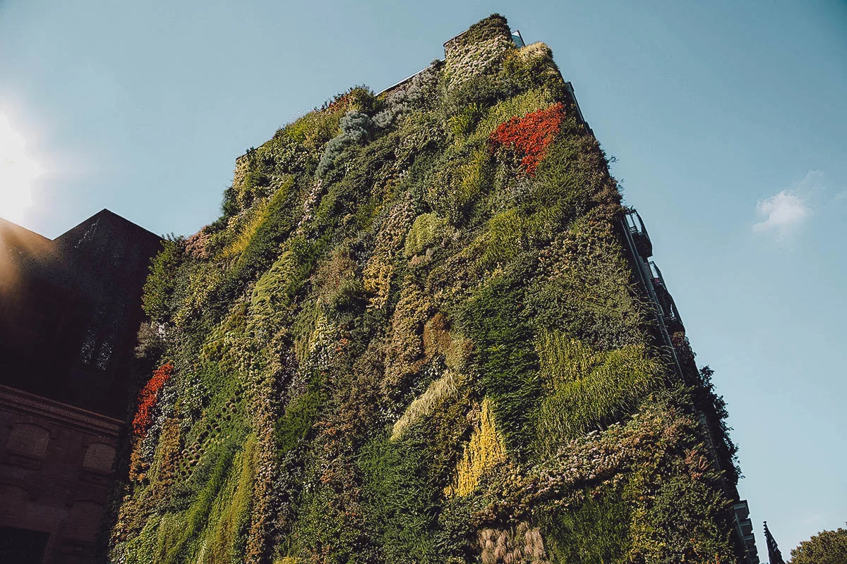 Madrid Travel Guide in Photos: Foliage-covered building of CaixaForum