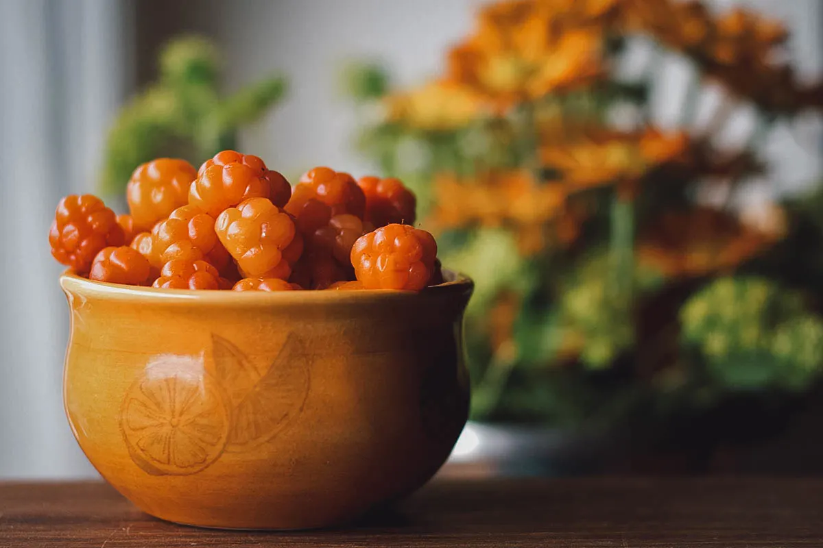 Norwegian Food Bowl of cloudberries, a rare Norwegian fruit