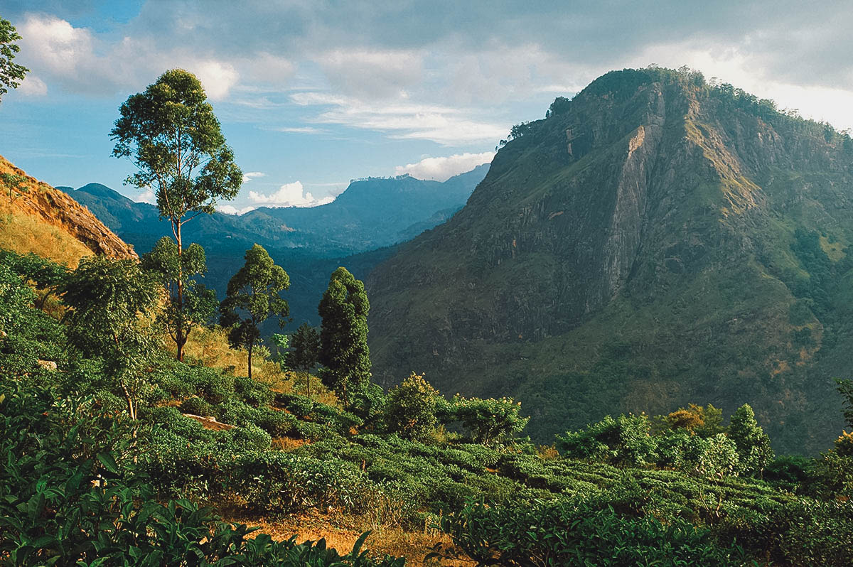 Ella Rock in Sri Lanka