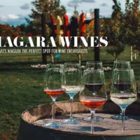 Niagara Wine: What Makes Niagara the Perfect Spot for Wine Enthusiasts