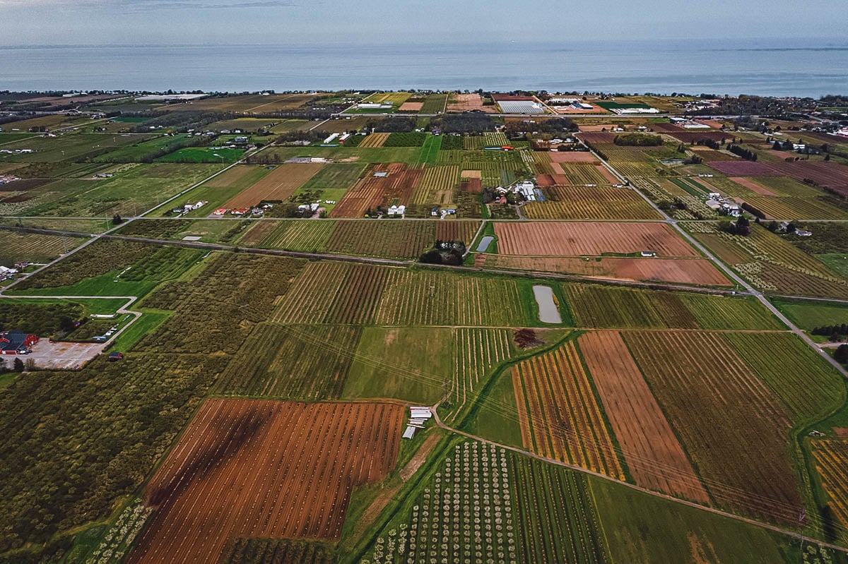 Aerial view of winery