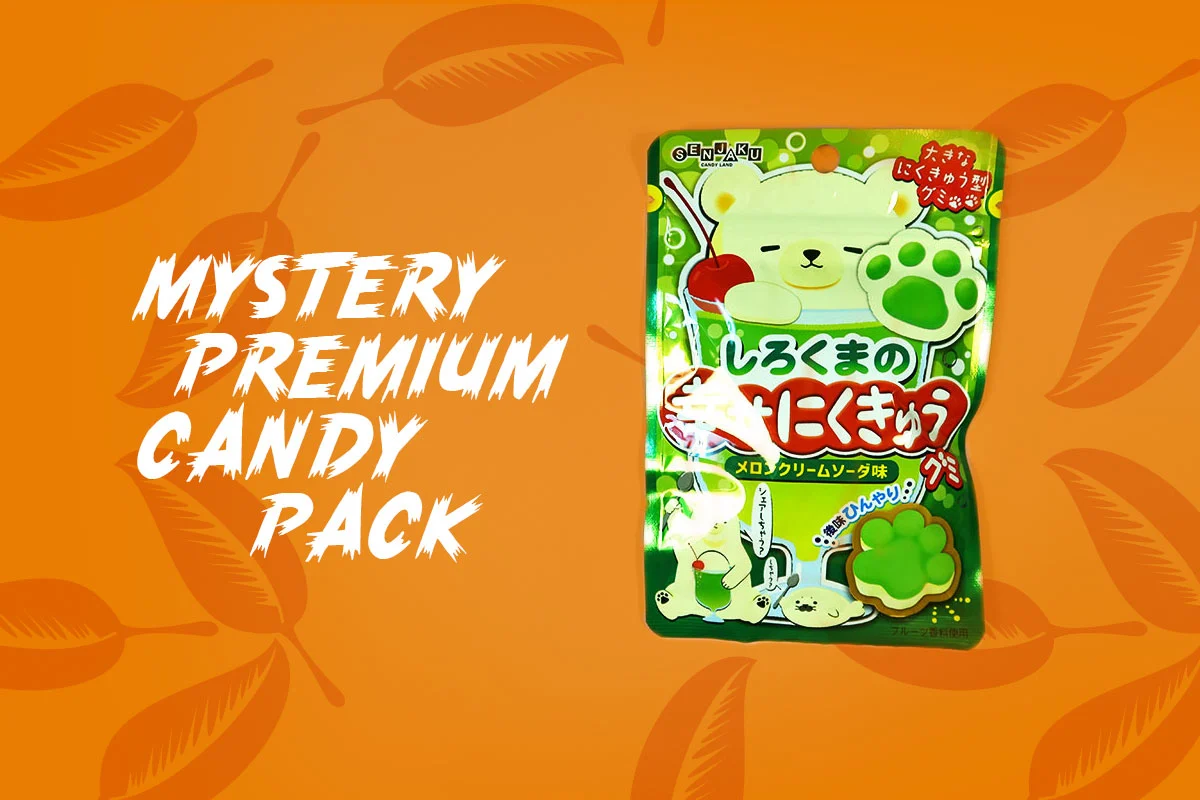 TokyoTreat box contents: Mystery Premium Candy Pack