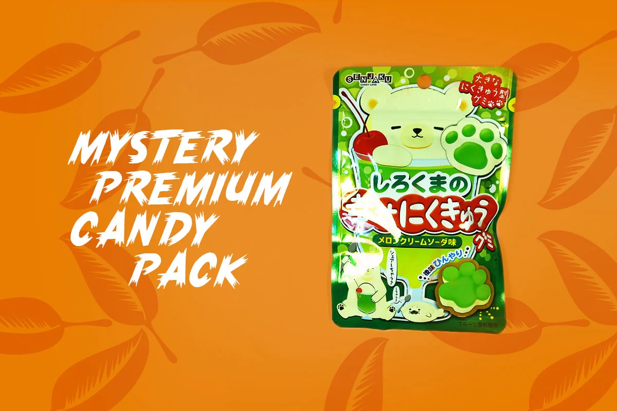 Tokyo Treat Subscription Box Review TokyoTreat box contents: Mystery Premium Candy Pack