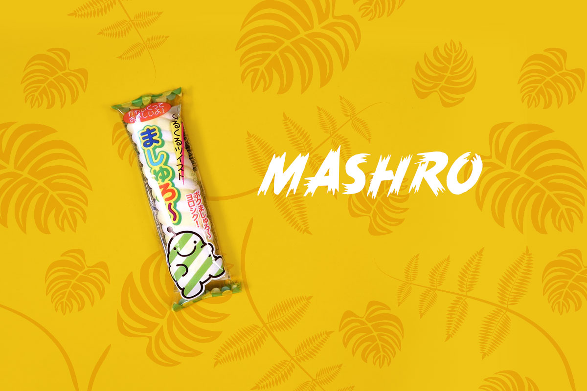 TokyoTreat box contents: Mashro