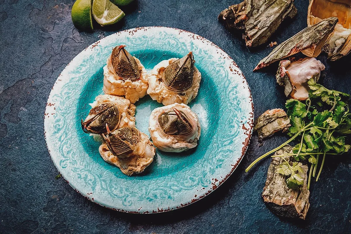 Chilean Food Picoroco, a giant barnacle from coastal Chile