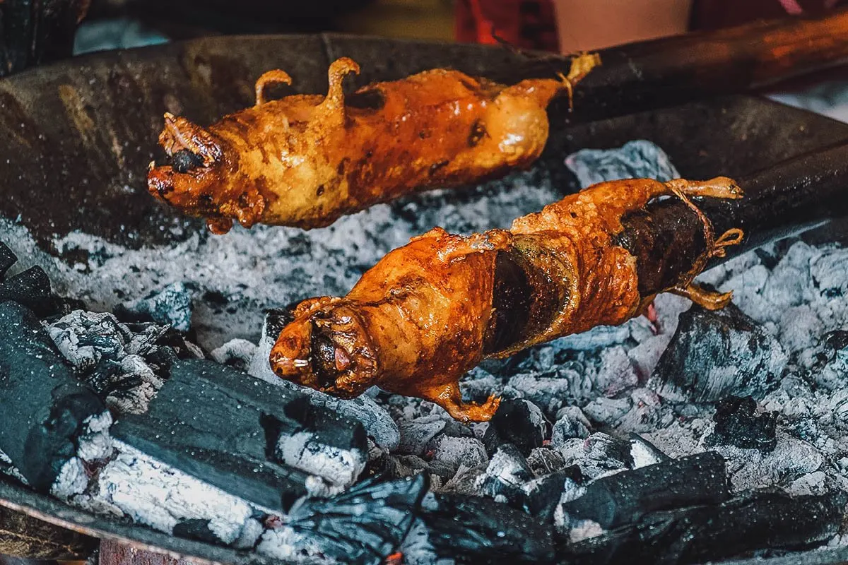 Cuy or guinea pig roasting over an open charcoal fire