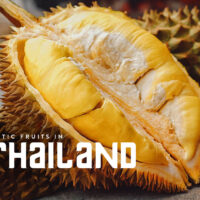 Open durian