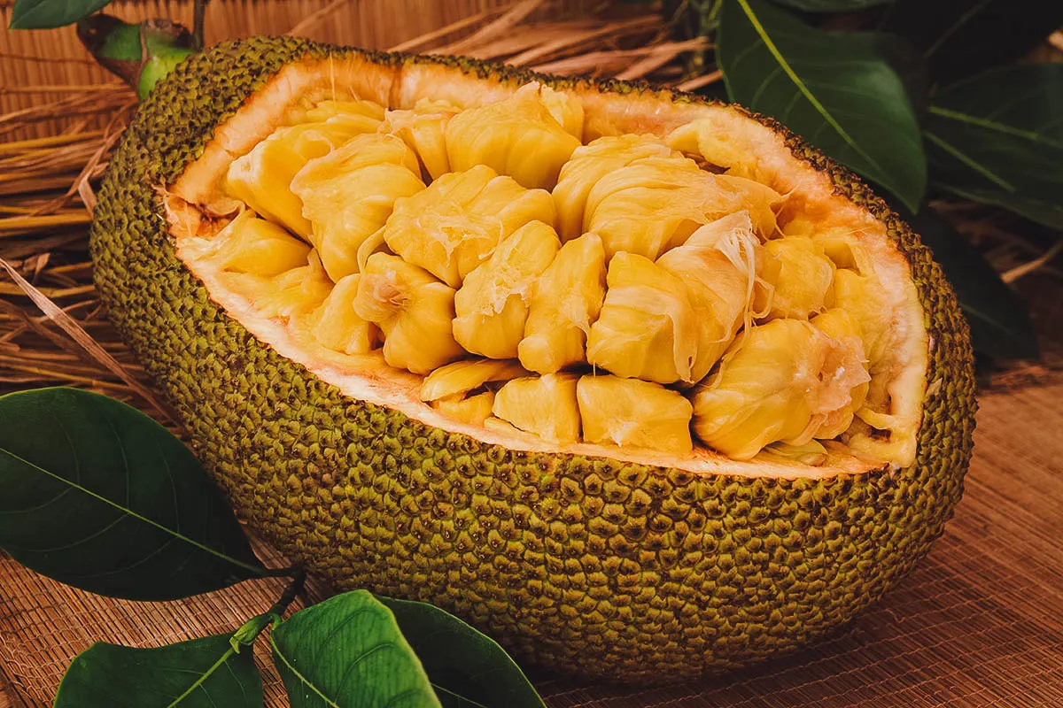 Exotic Thai Fruits Jackfruit, a versatile Thai fruit with meaty flesh
