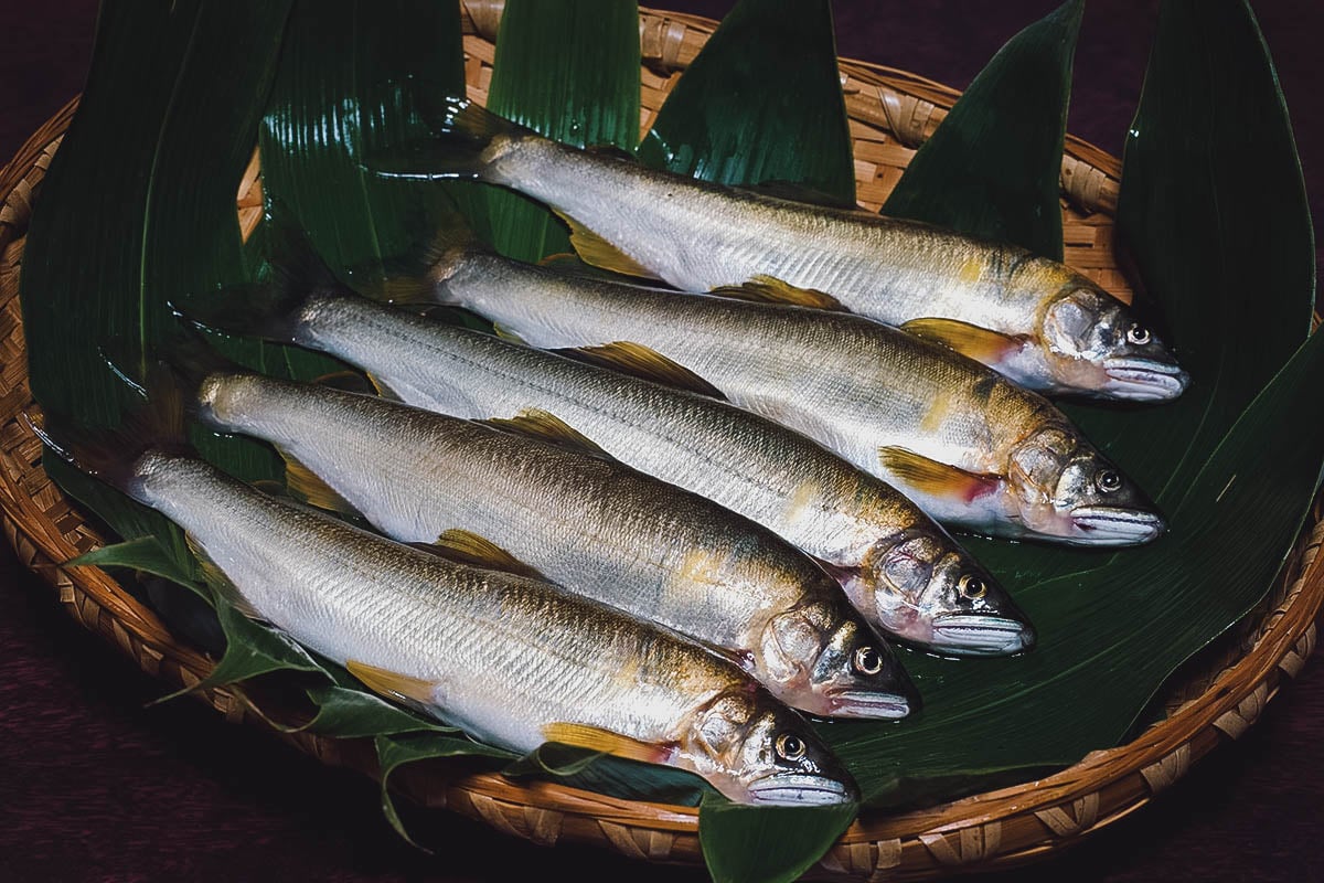 Basket of ayu or sweetfish from Nagara River