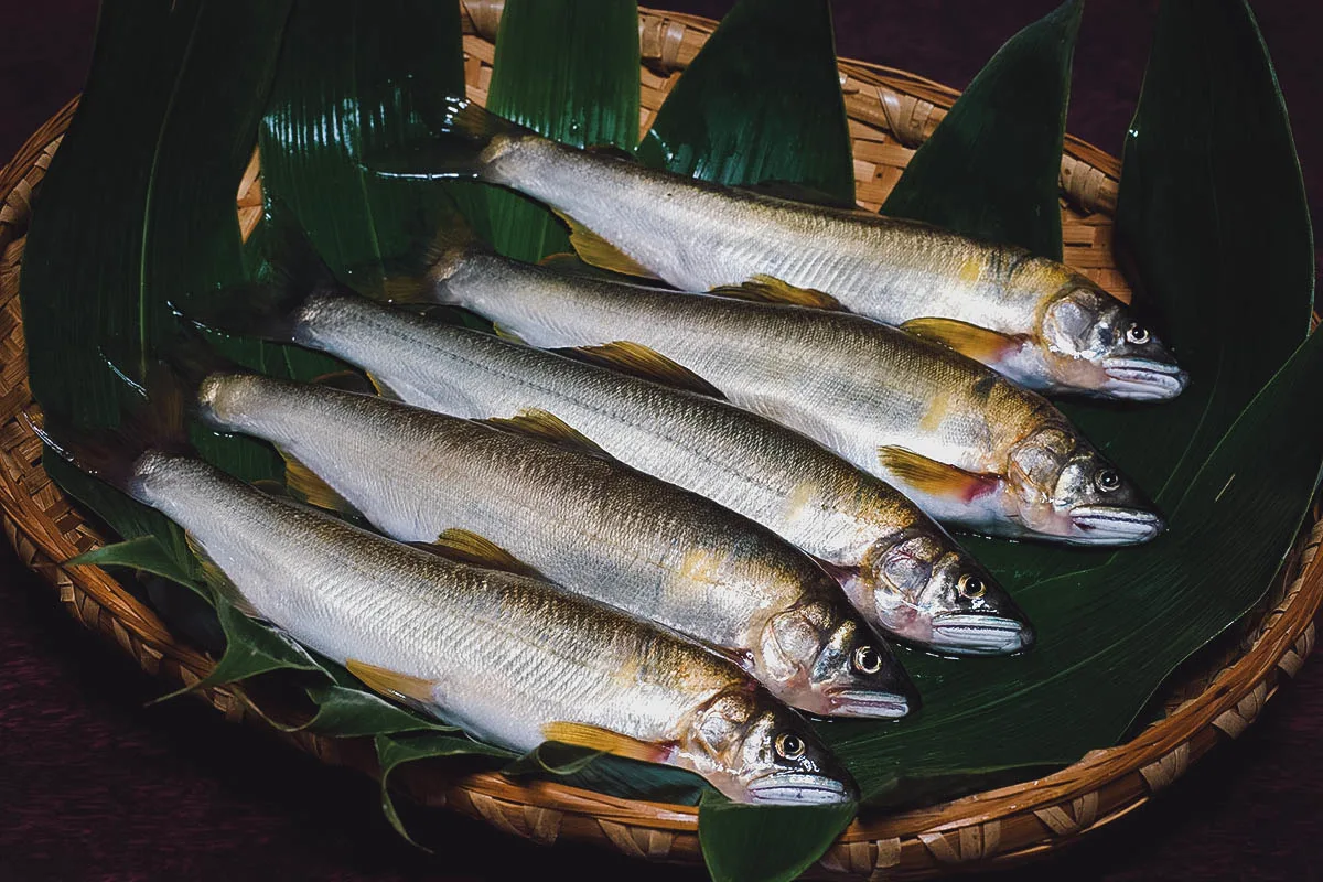Basket of ayu or sweetfish from Nagara River in the Chubu region