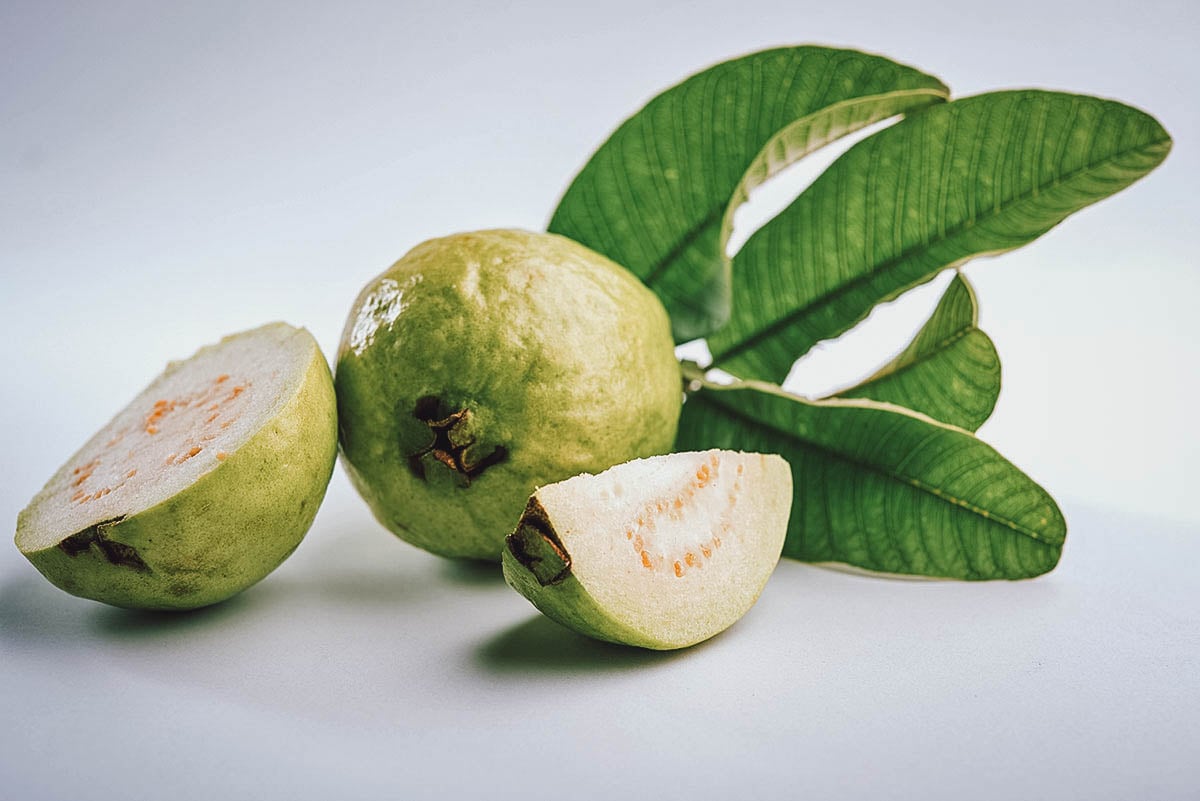 Guava or bayabas in the Philippines
