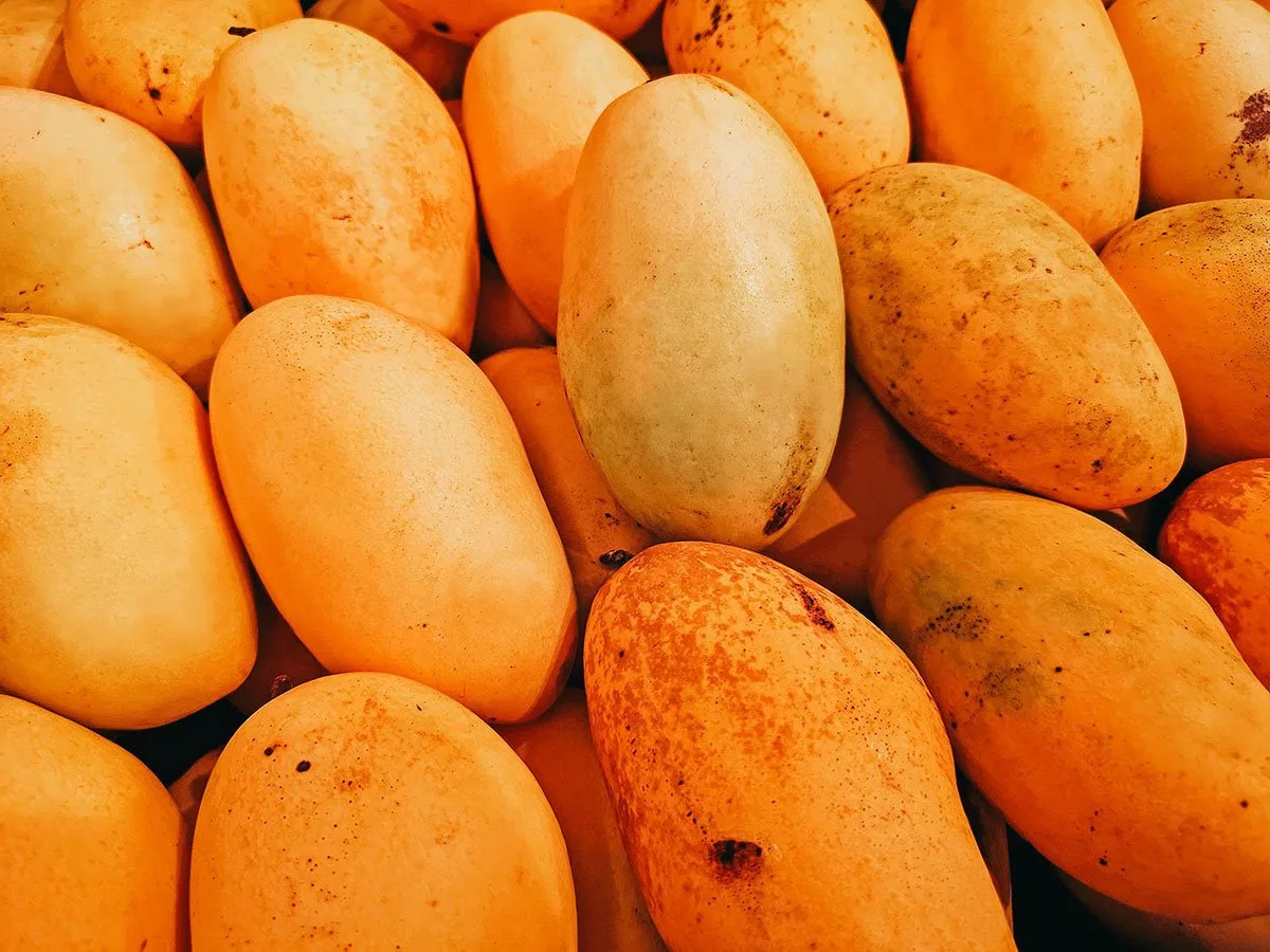 Display of carabao mango from Guimaras