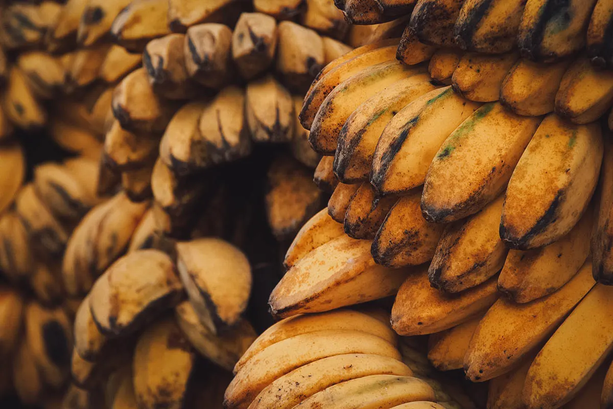 Saging na saba or sweet plantains in the Philippines