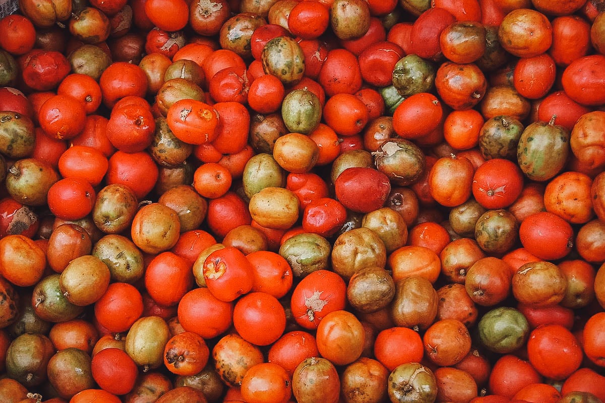 Bunch of siniguelas in varying states of ripeness