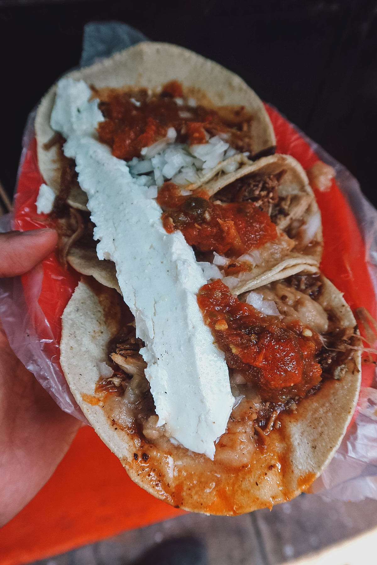 Birria tacos with white cheese at Tacos Don Jose in Guadalajara