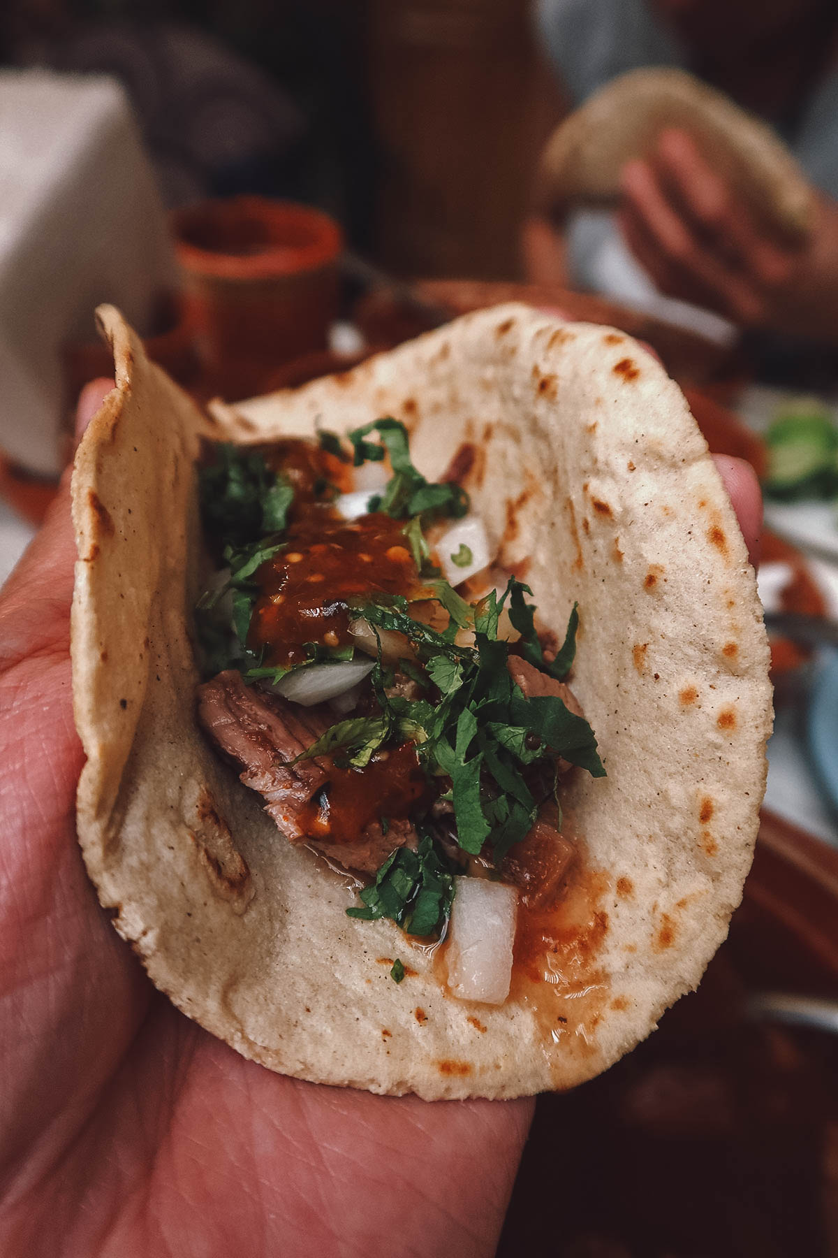 Birria taco at Birrieria El Paisano in Guadalajara