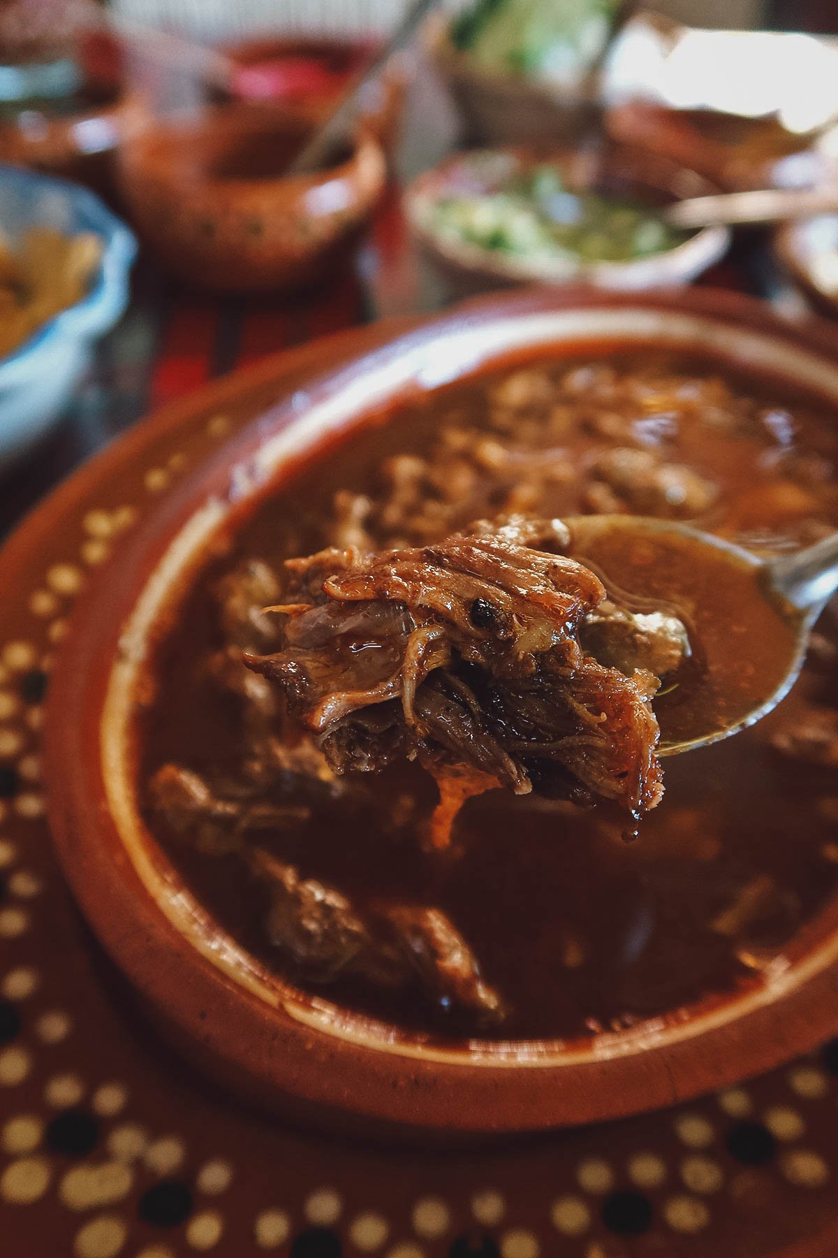 Large portion of birria at Birrieria Las 9 Esquinas, one of the most popular Guadalajara restaurants