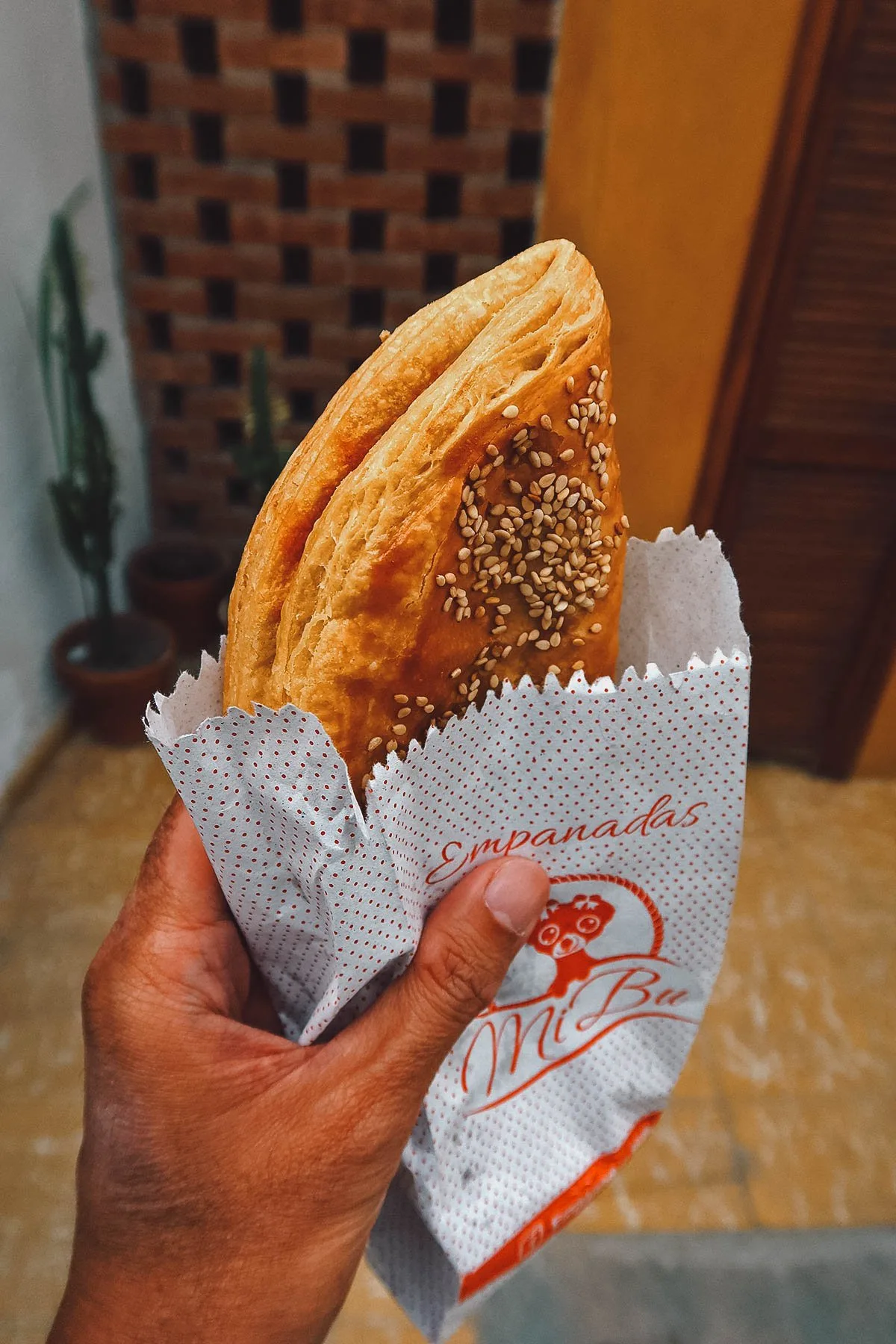 Mole rojo empanada from a restaurant in Guanajuato