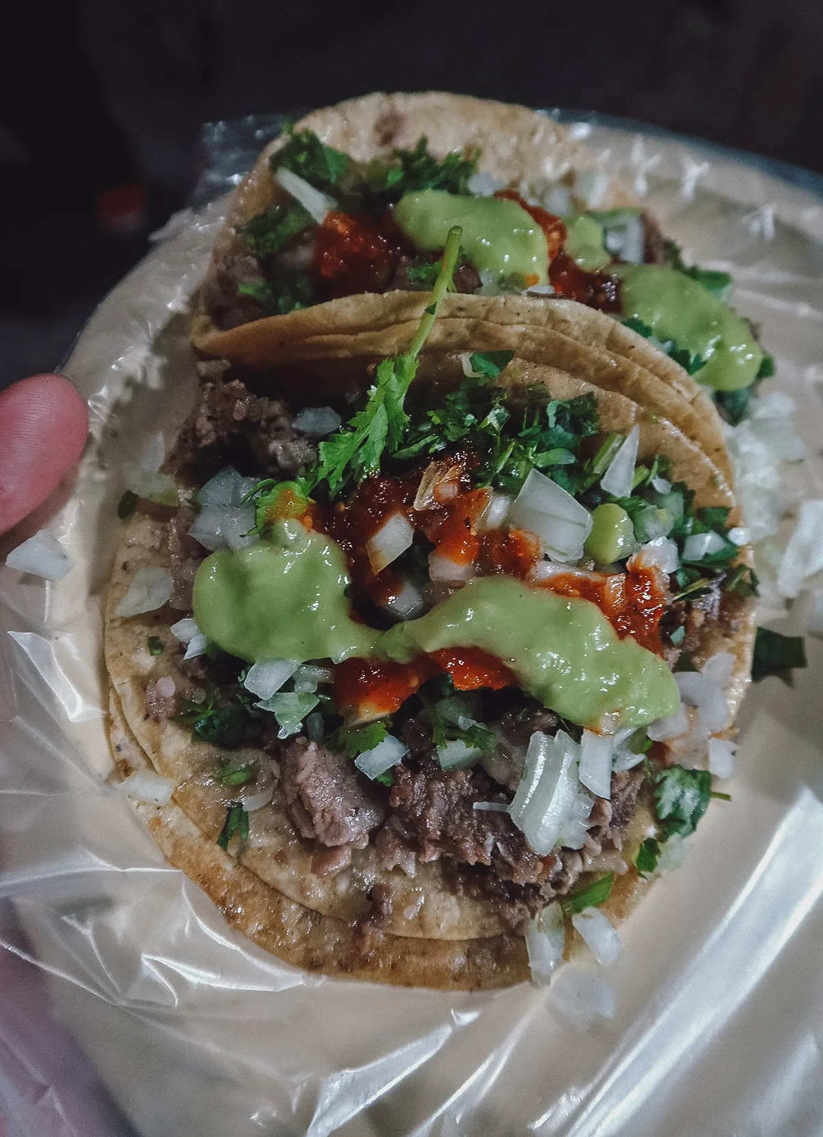 Tacos de cabeza from a roadside stall in Guanajuato