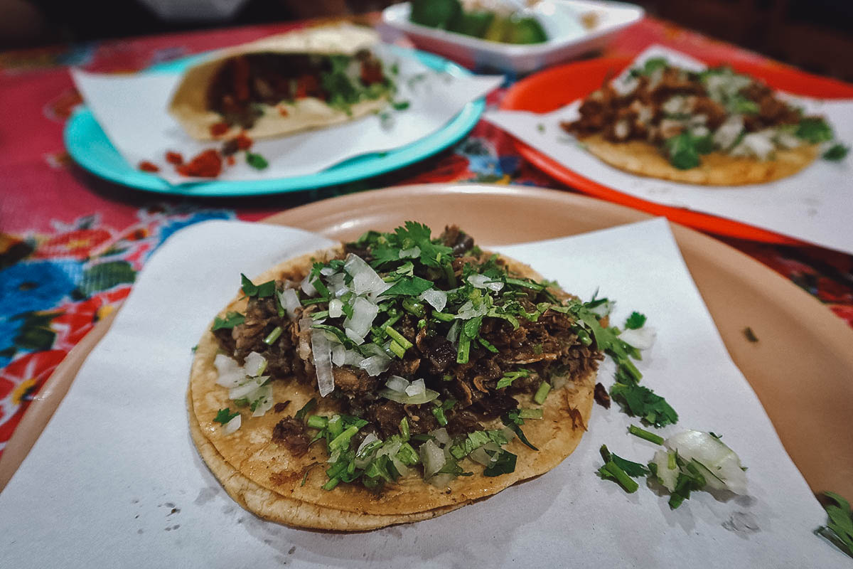 Taco de cabeza at a restaurant in Guanajuato