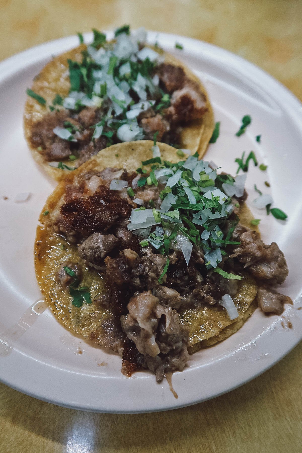 Tacos de suadero at a restaurant in Guanajuato