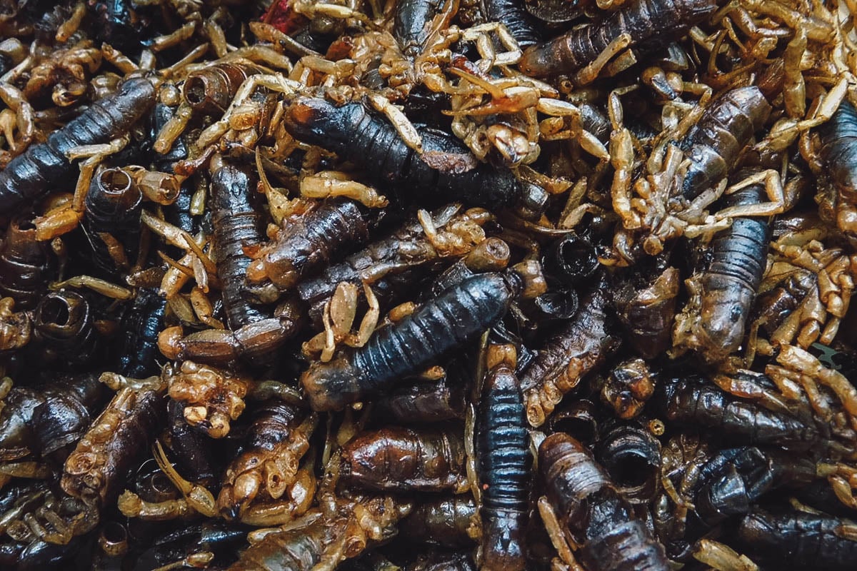 Scorpions for sale at San Juan Market in Mexico City