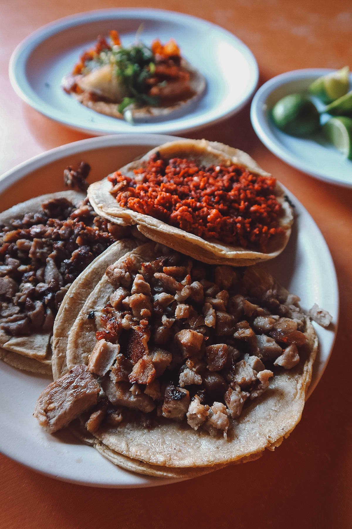 Plate of assorted tacos