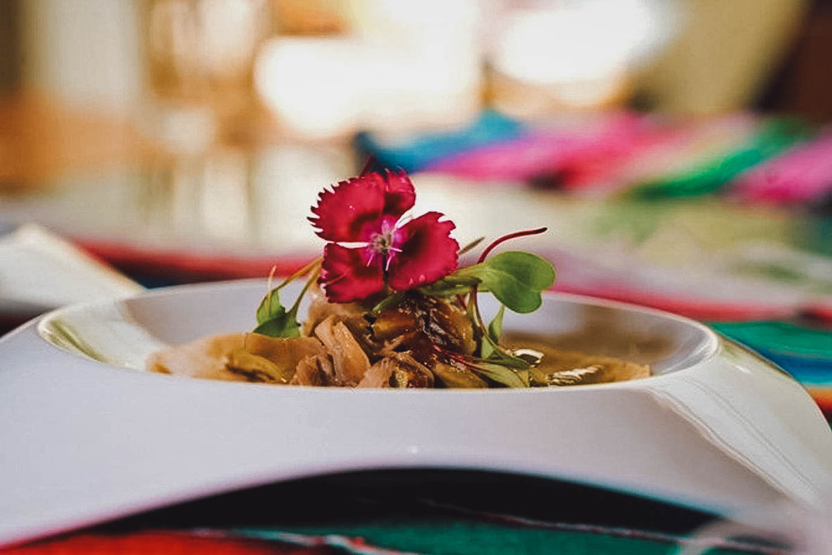 Beautifully plated dish from the Centro Historico tour