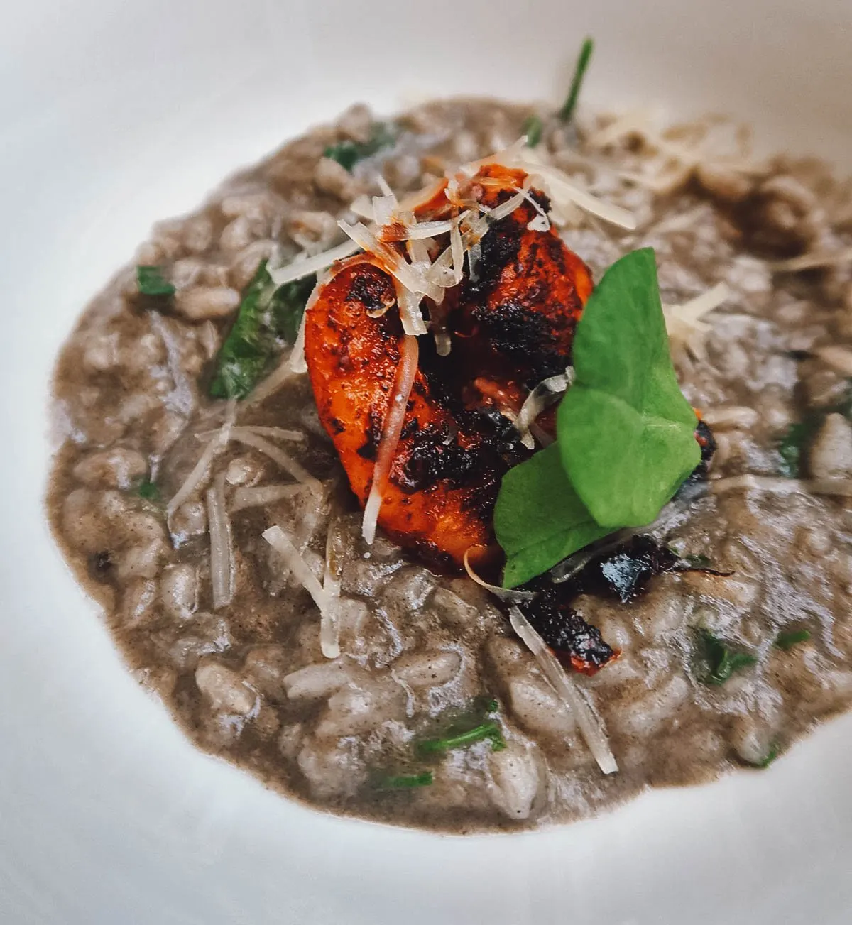 Huitlacoche risotto from the Colonia Roma tour