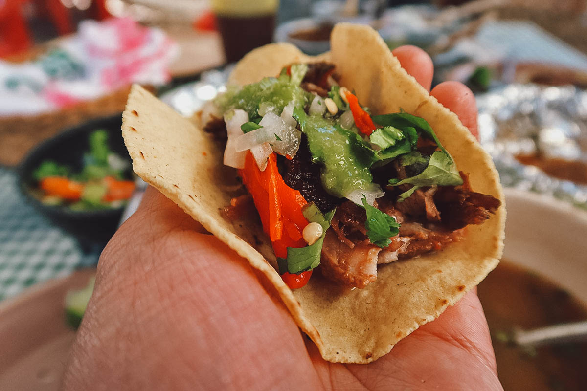 Tortilla filled with barbacoa meat, onions, cilantro, and salsa