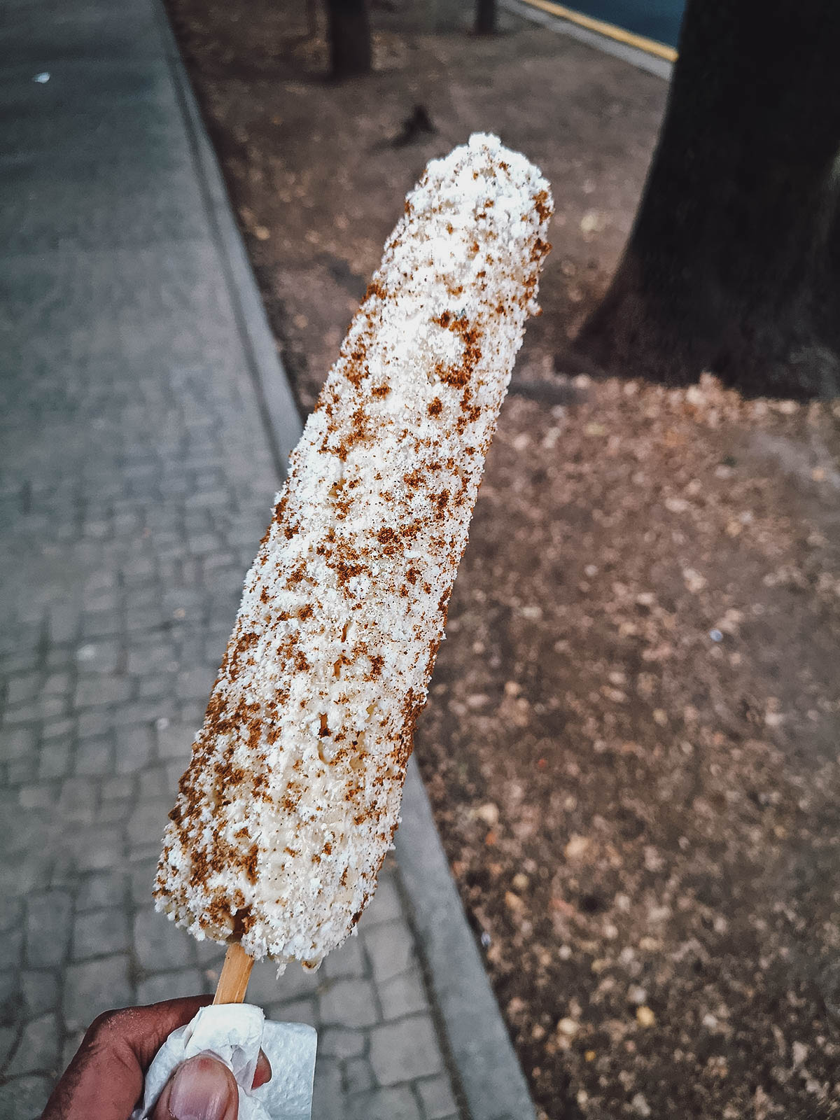 Elote from a street food stand in Mexico City