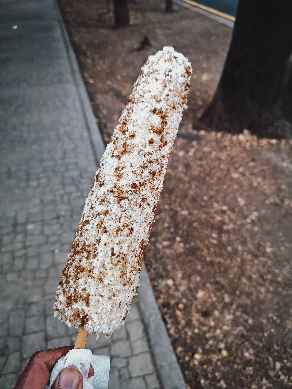 The Best Food in Mexico City Elote from a street food stand in Mexico City