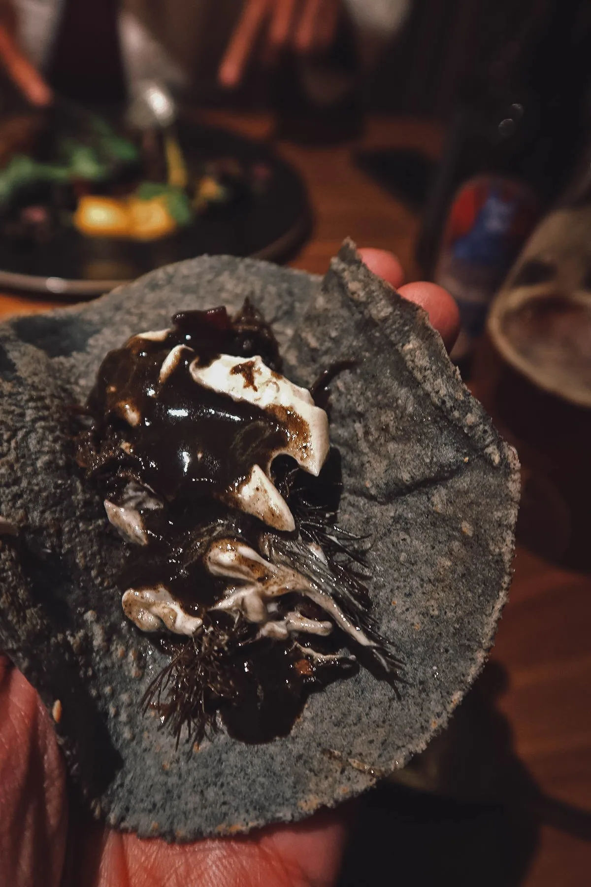 The Best Food in Mexico City Gourmet taco at Quintonil restaurant in Mexico City