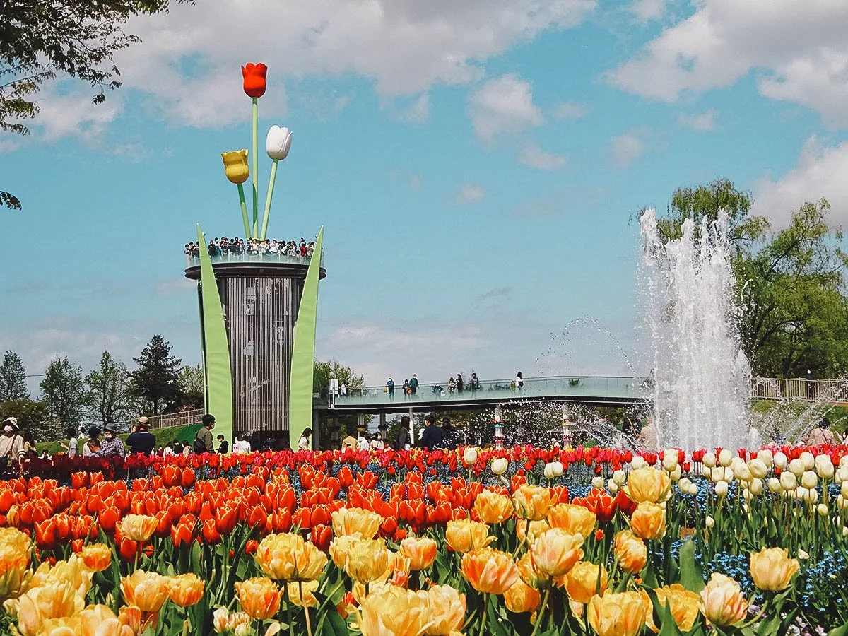 Tonami Tulip Park in Toyama, Chubu, Japan