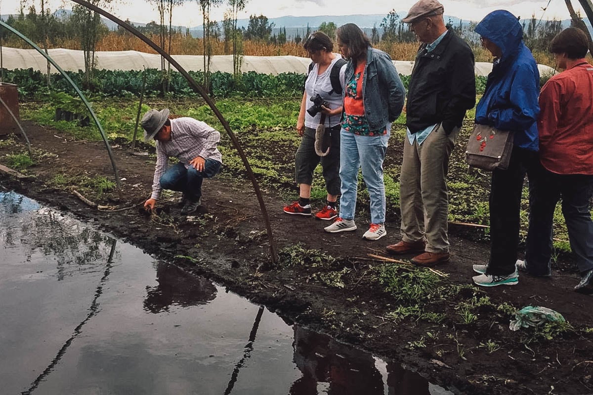 Local guide showing tourists around in Xochimilco