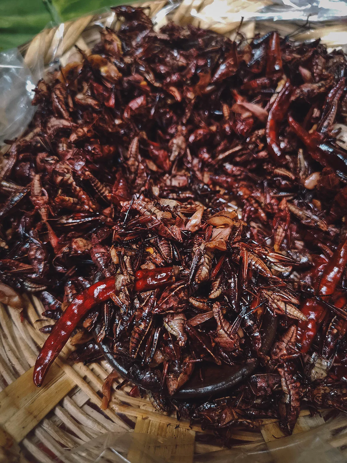 Oaxacan Food Chapulines