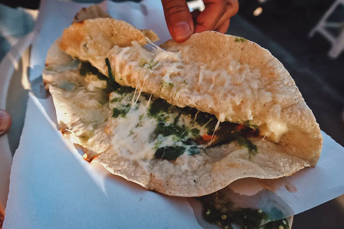 Quesadilla with pumpkin flowers