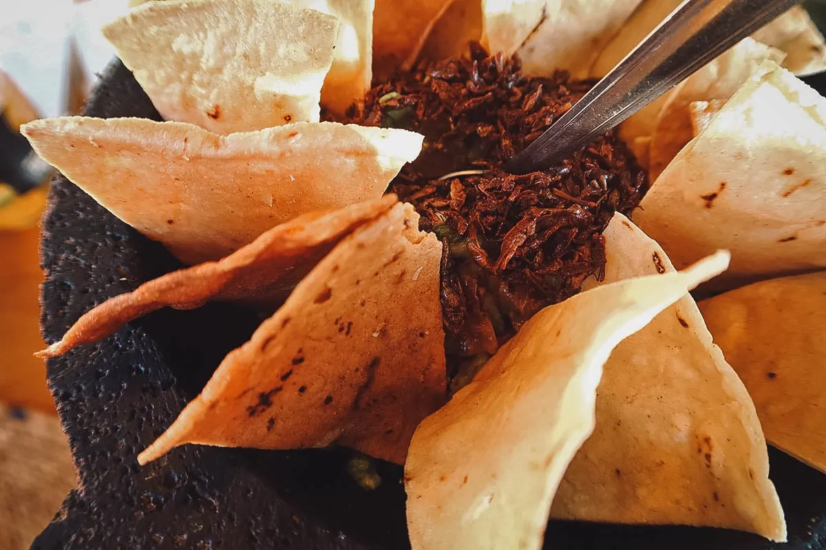 Molcajete with guacamole and chapulines