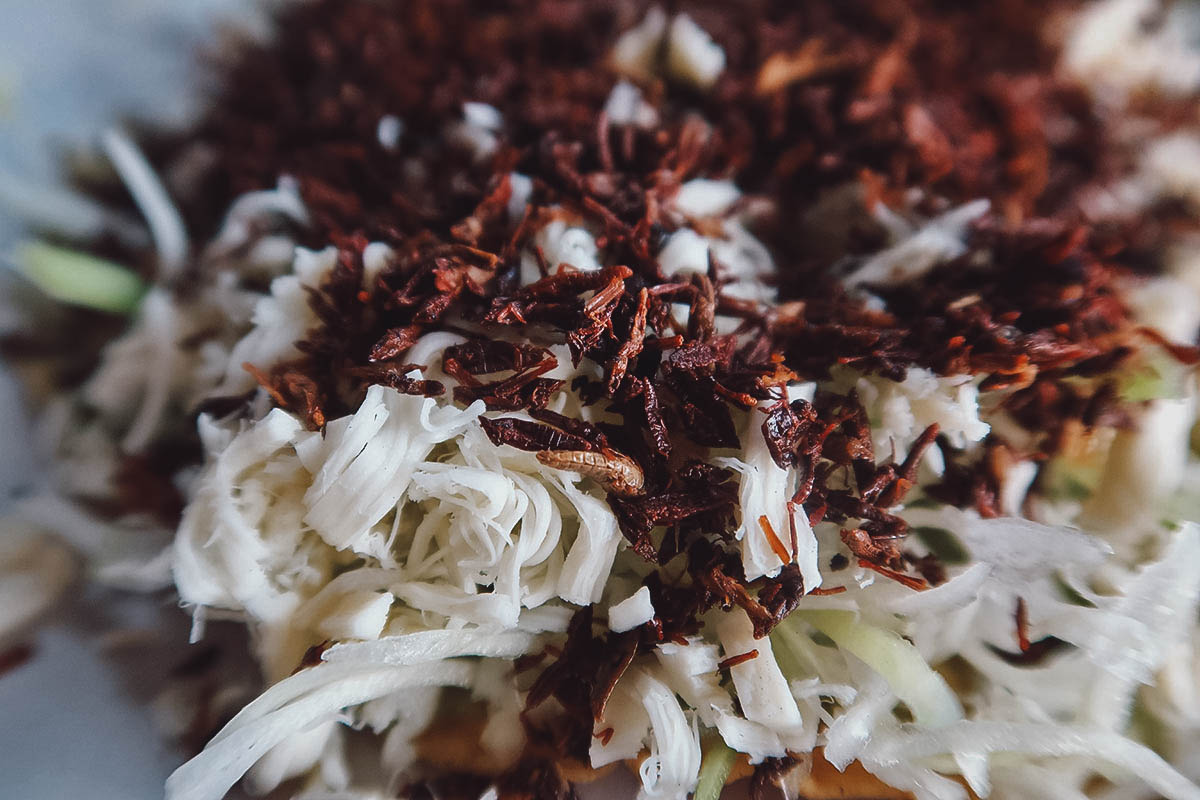 Chapulines on a tostada in Oaxaca