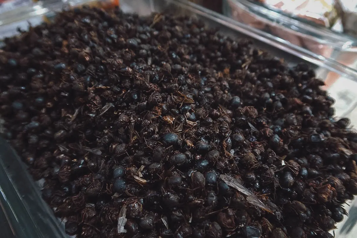 Chicatanas at Mercado de San Juan in CDMX