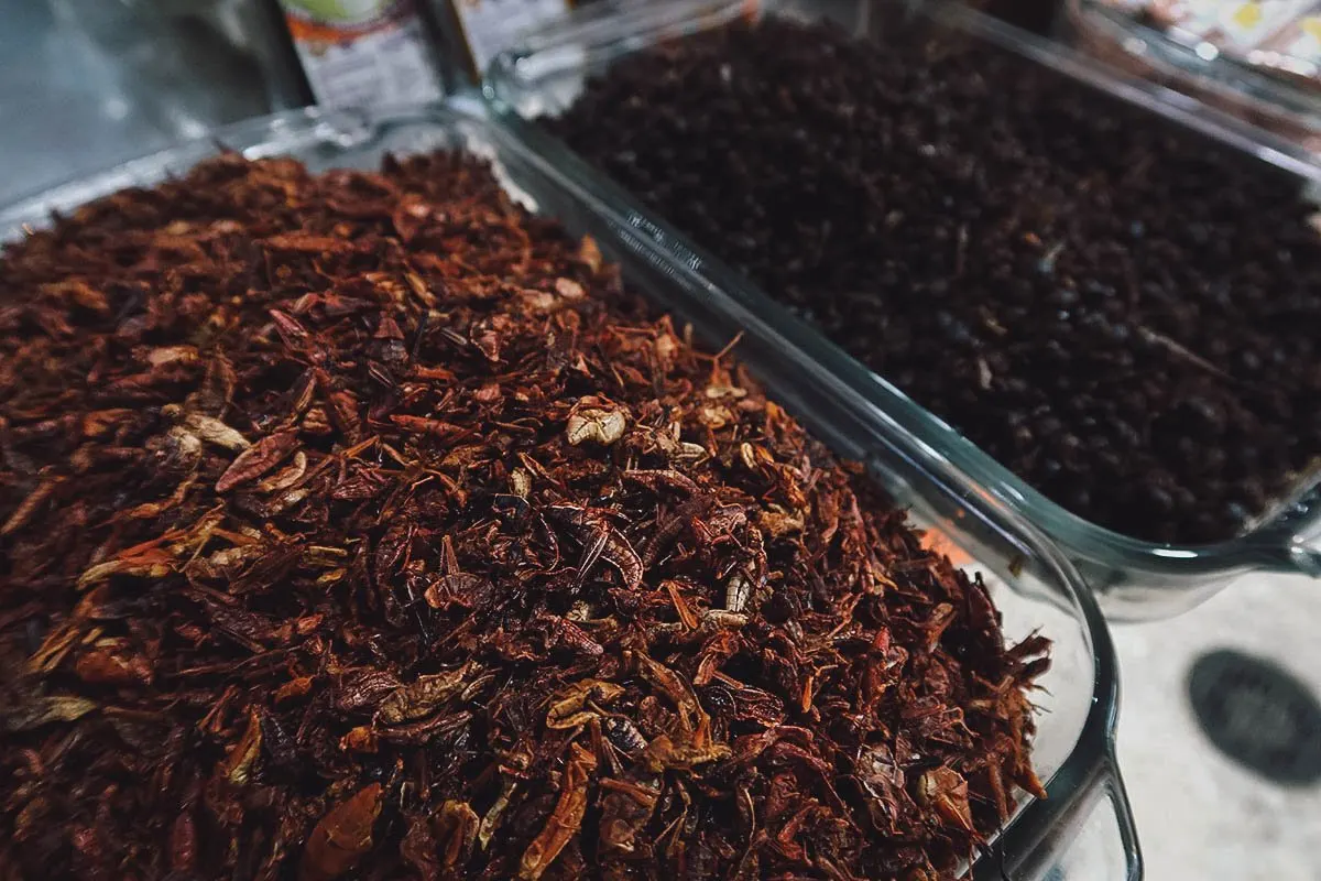 Edible insects at Mercado de San Juan in CDMX