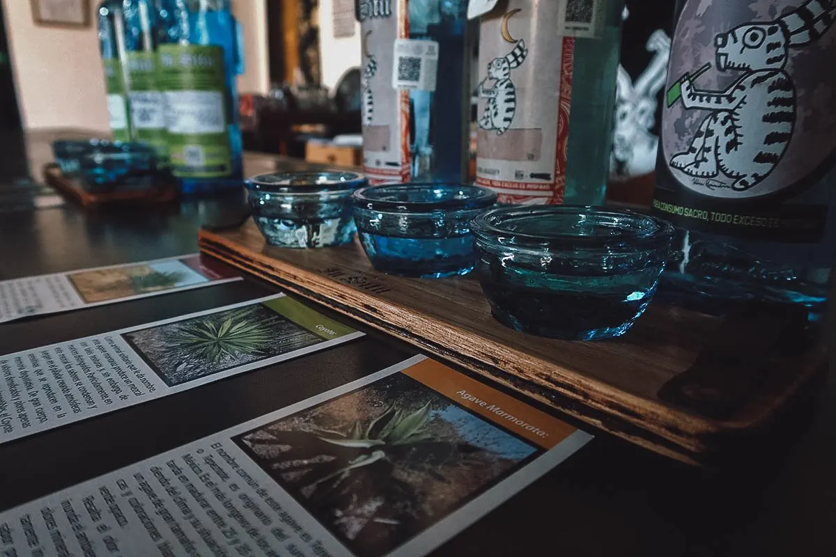The Best Mezcalerias in Oaxaca Tasting cups at In Situ mezcaleria