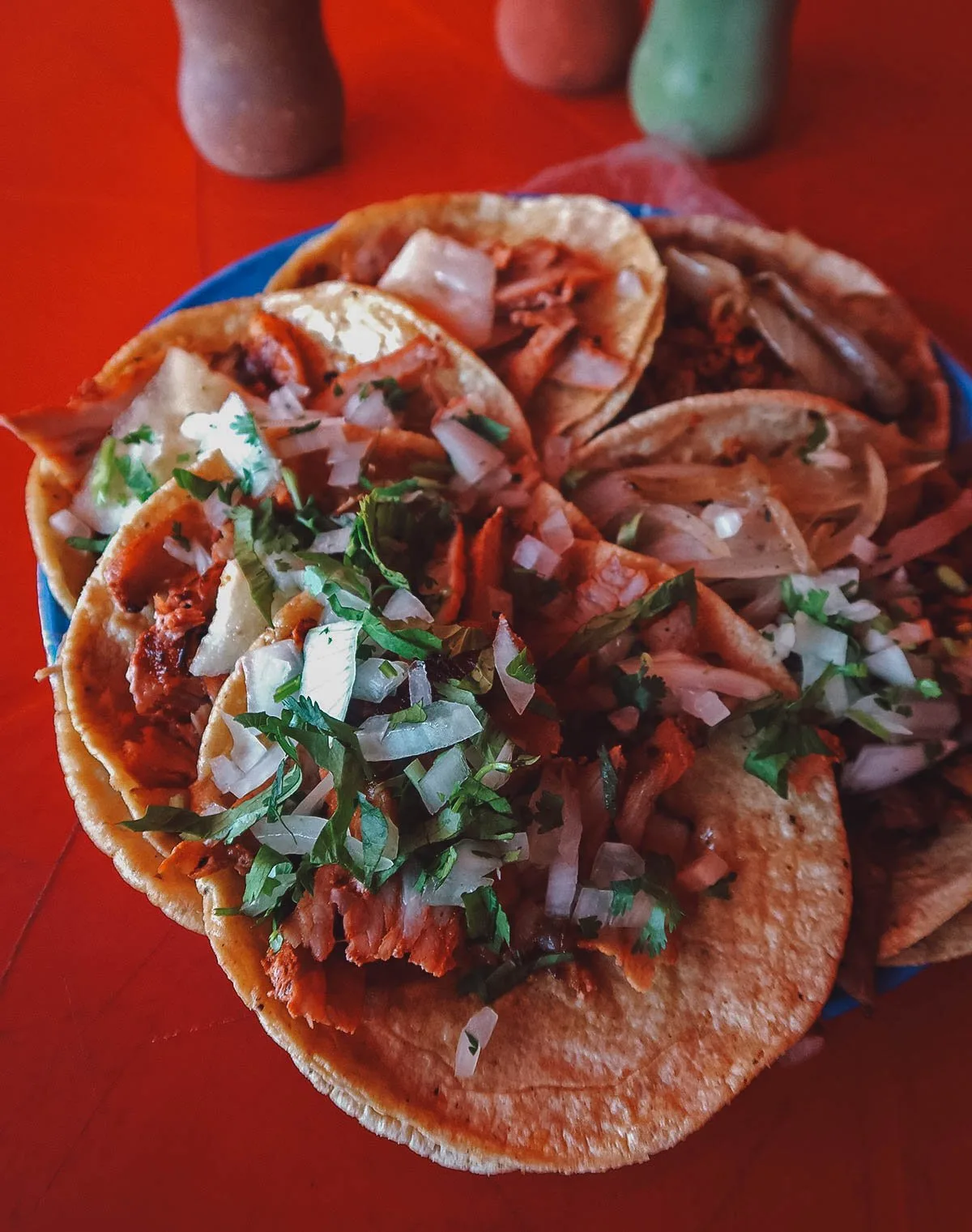Tacos at El Ingrato restaurant in Playa del Carmen